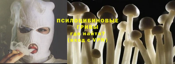 шишки Алексеевка