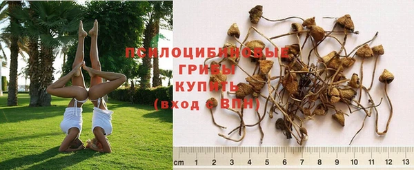 а пвп мука Новодвинск
