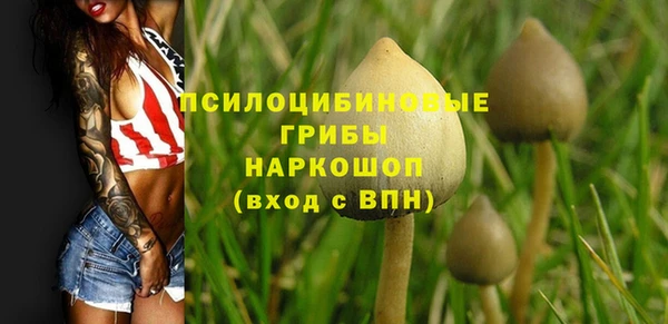 Альфа ПВП Алексин