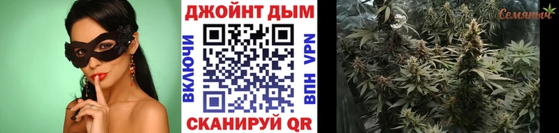 кракен рабочий сайт  где можно купить наркотик  Хотьково  Канабис сатива 